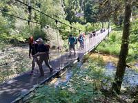 La passerelle himalayenne La passerelle himalayenne